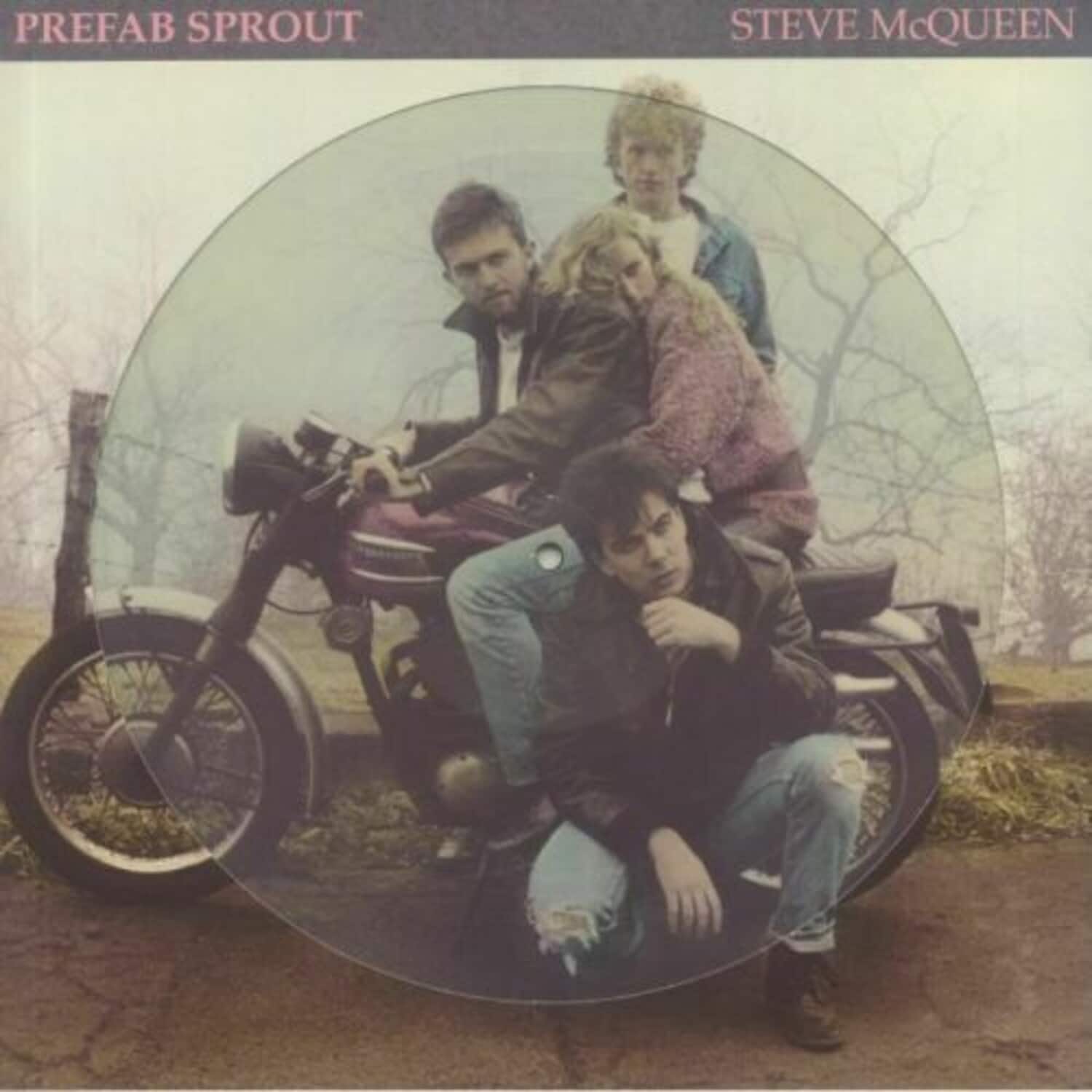 Prefab Sprout - Steve McQueen (Ltd Picture Disc) (180-gram)   - VINYL LP price history on PriceWatchPro