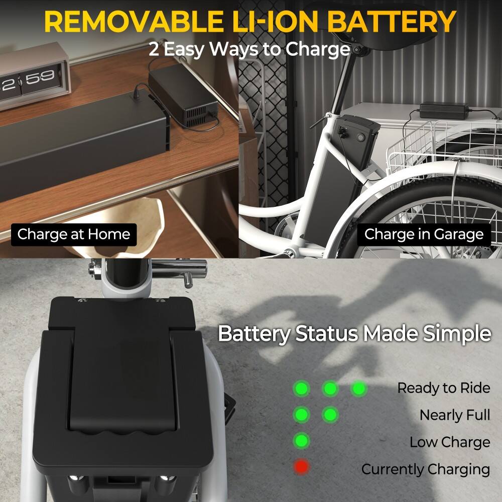 REMOVABLE LI-ION BATTERY  
2 Easy Ways to Charge  
- Charge at Home  
- Charge in Garage  

Battery Status Made Simple  
- Ready to Ride  
- Nearly Full  
- Low Charge  
- Currently Charging