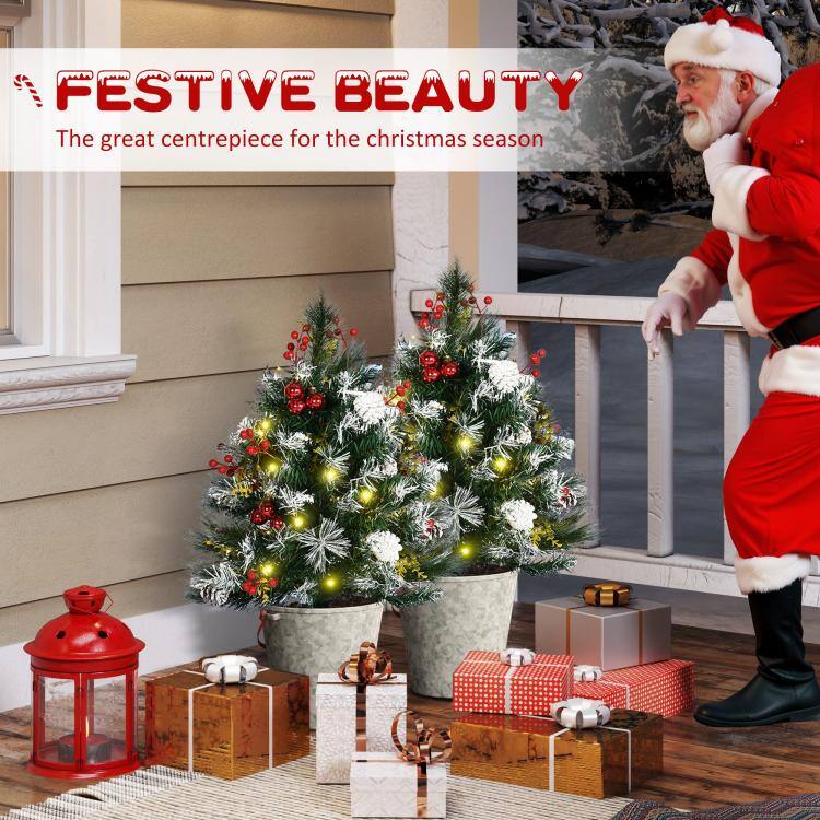 FESTIVE BEAUTY  
The great centrepiece for the christmas season