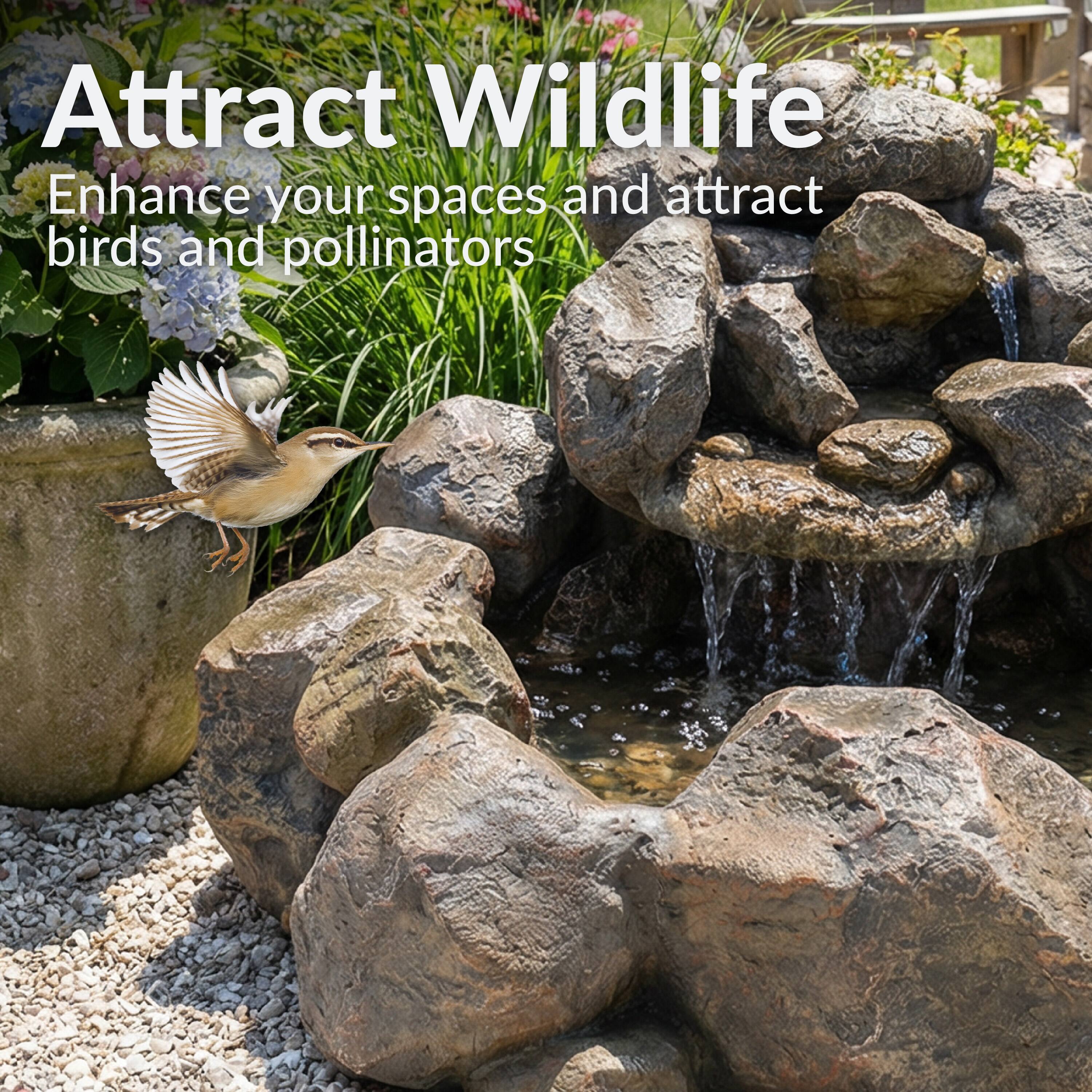 Attract Wildlife  
Enhance your spaces and attract birds and pollinators