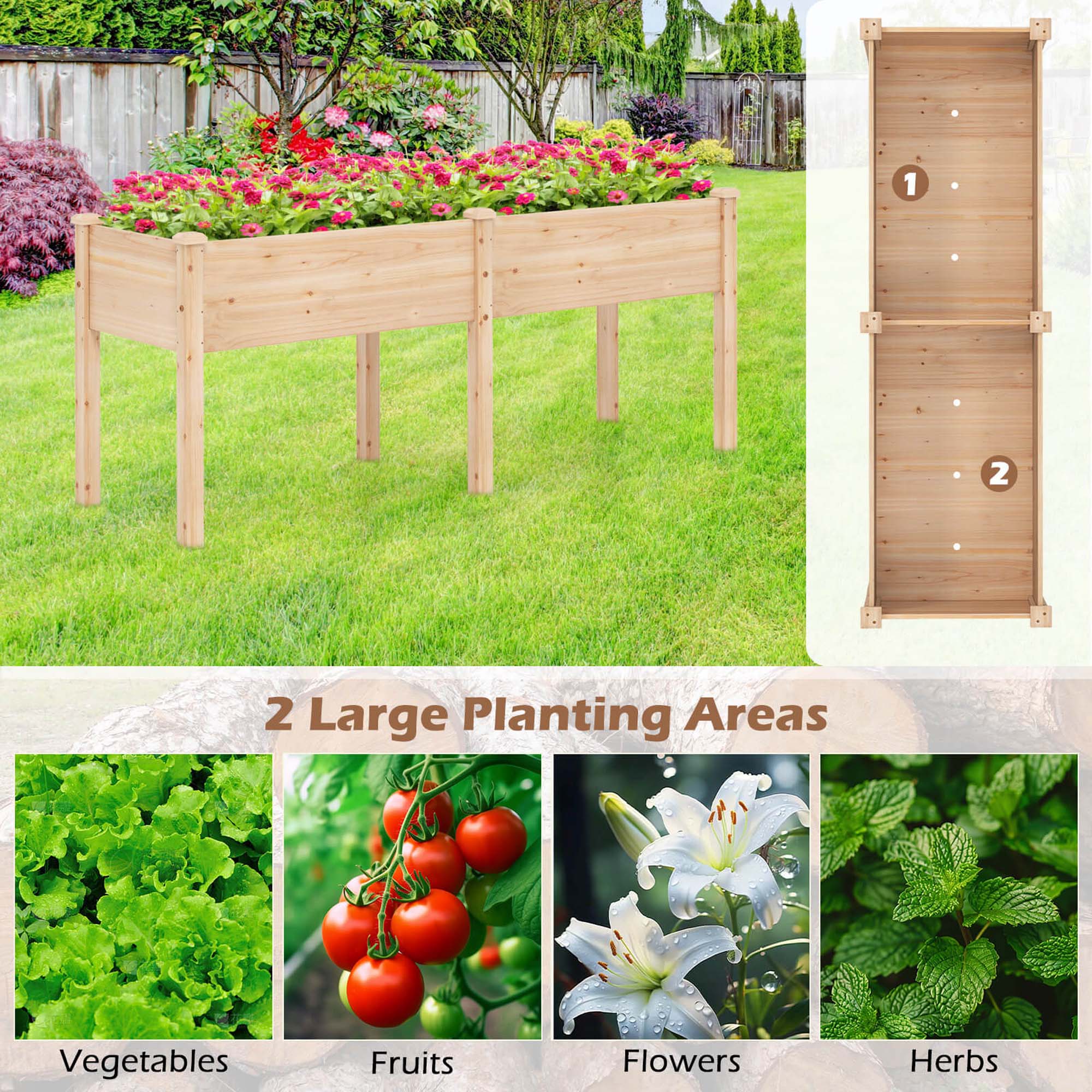 1. 2 Large Planting Areas: Vegetables, Fruits, Flowers, Herbs