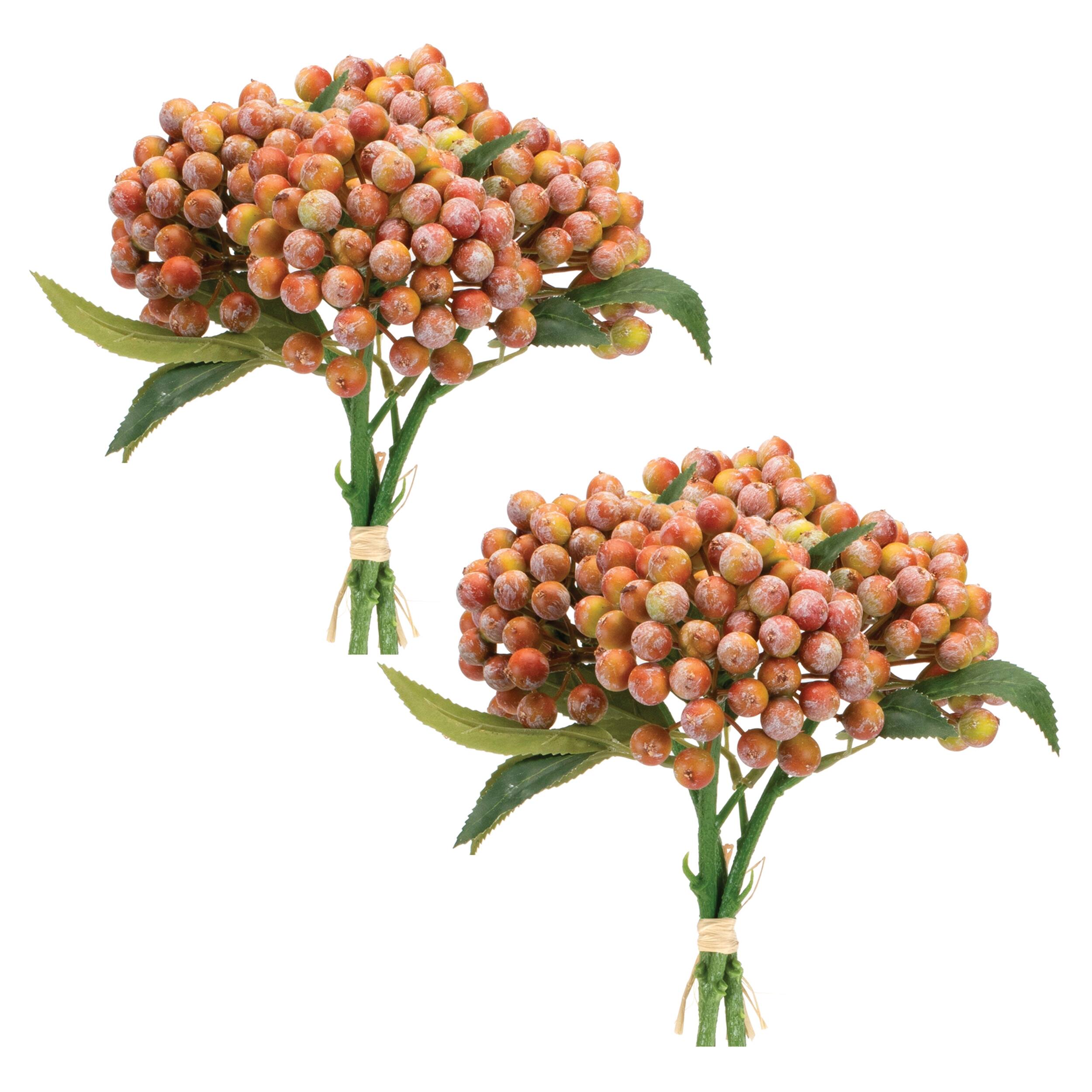 Left. BreeBe - Orange Berry Bundle (Set of 2) - Orange, Pink, Green.