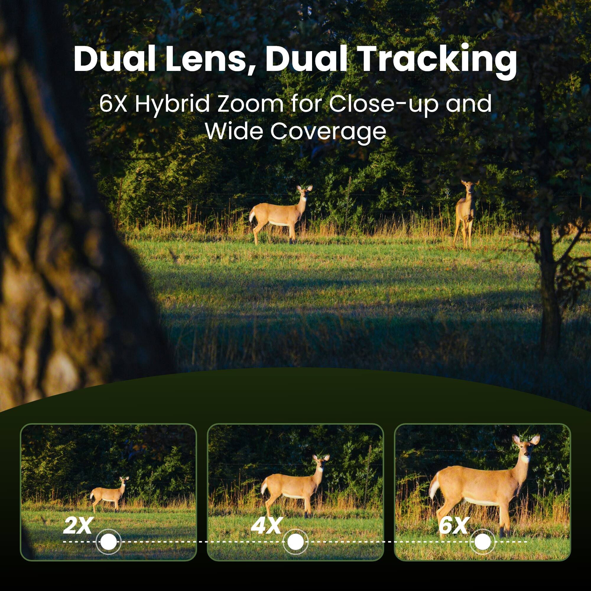 Dual Lens, Dual Tracking  
6X Hybrid Zoom for Close-up and Wide Coverage  
2X  
4X  
6X