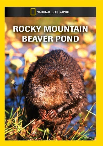 Rocky Mountain Beaver Pond - DVD