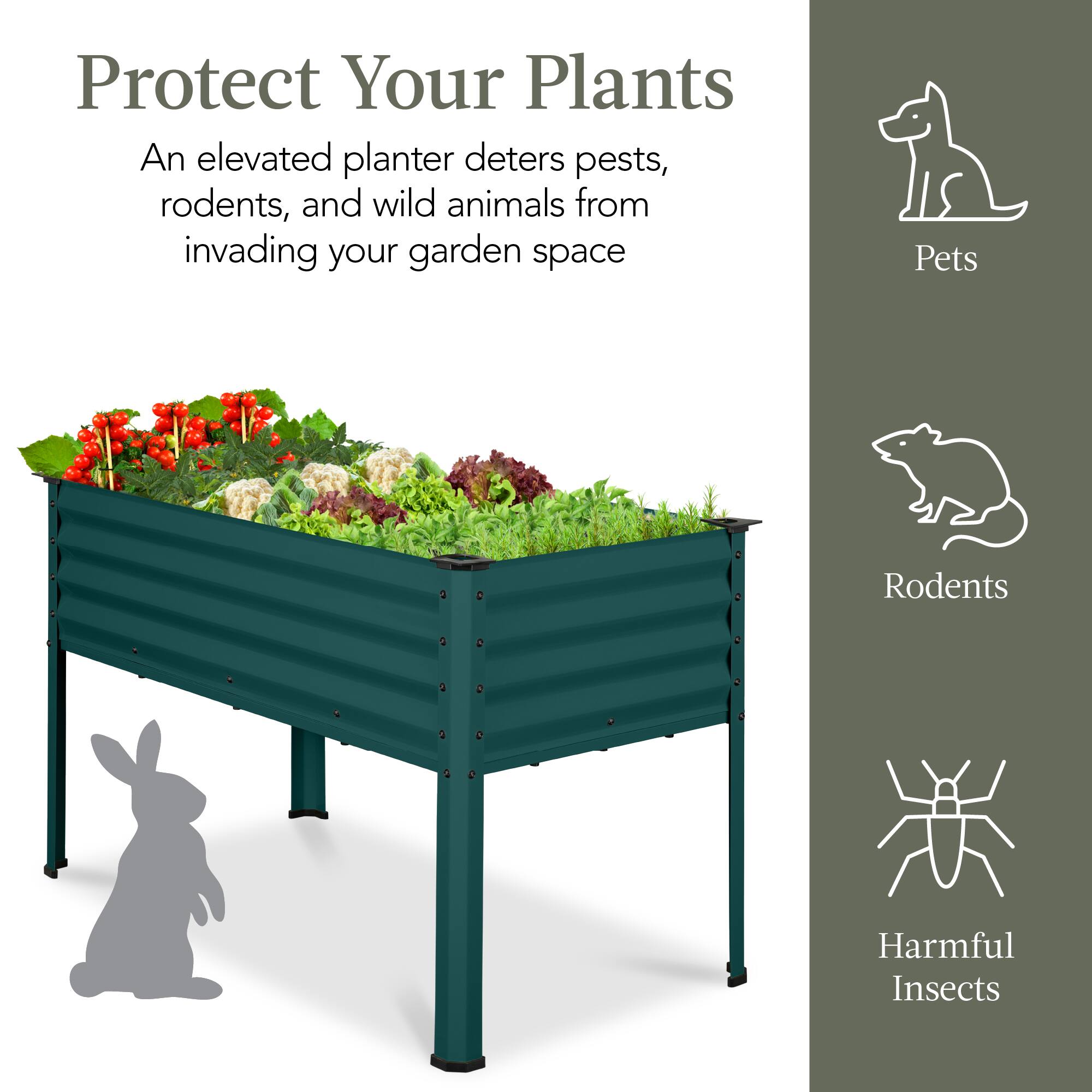 Protect Your Plants

An elevated planter deters pests, rodents, and wild animals from invading your garden space

Pets  
Rodents  
Harmful Insects