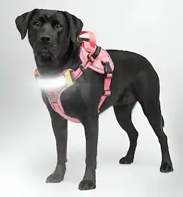 Lumi Pawtners - Lumi One LED Dog Harness - Pink