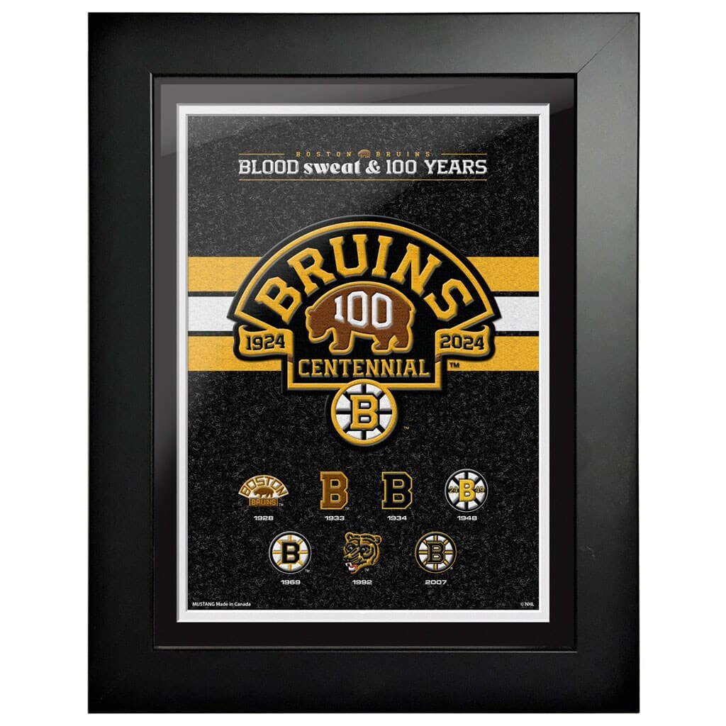 "Mustang Drinkware - Centennial 12"" x 16"" Logo History Framed Print - Multicolor" price history on PriceWatchPro