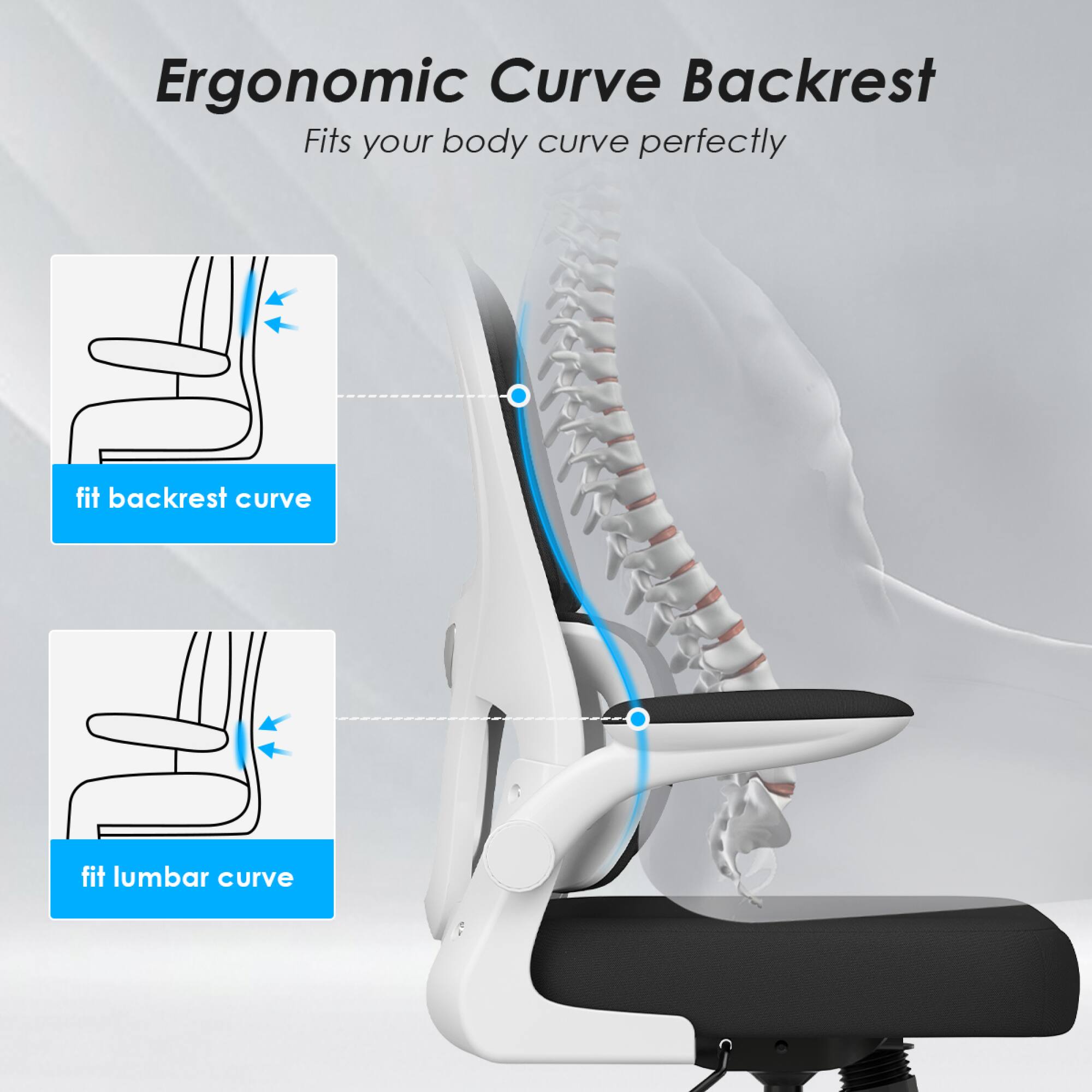 Ergonomic Curve Backrest  
Fits your body curve perfectly  

fit backrest curve  
fit lumbar curve
