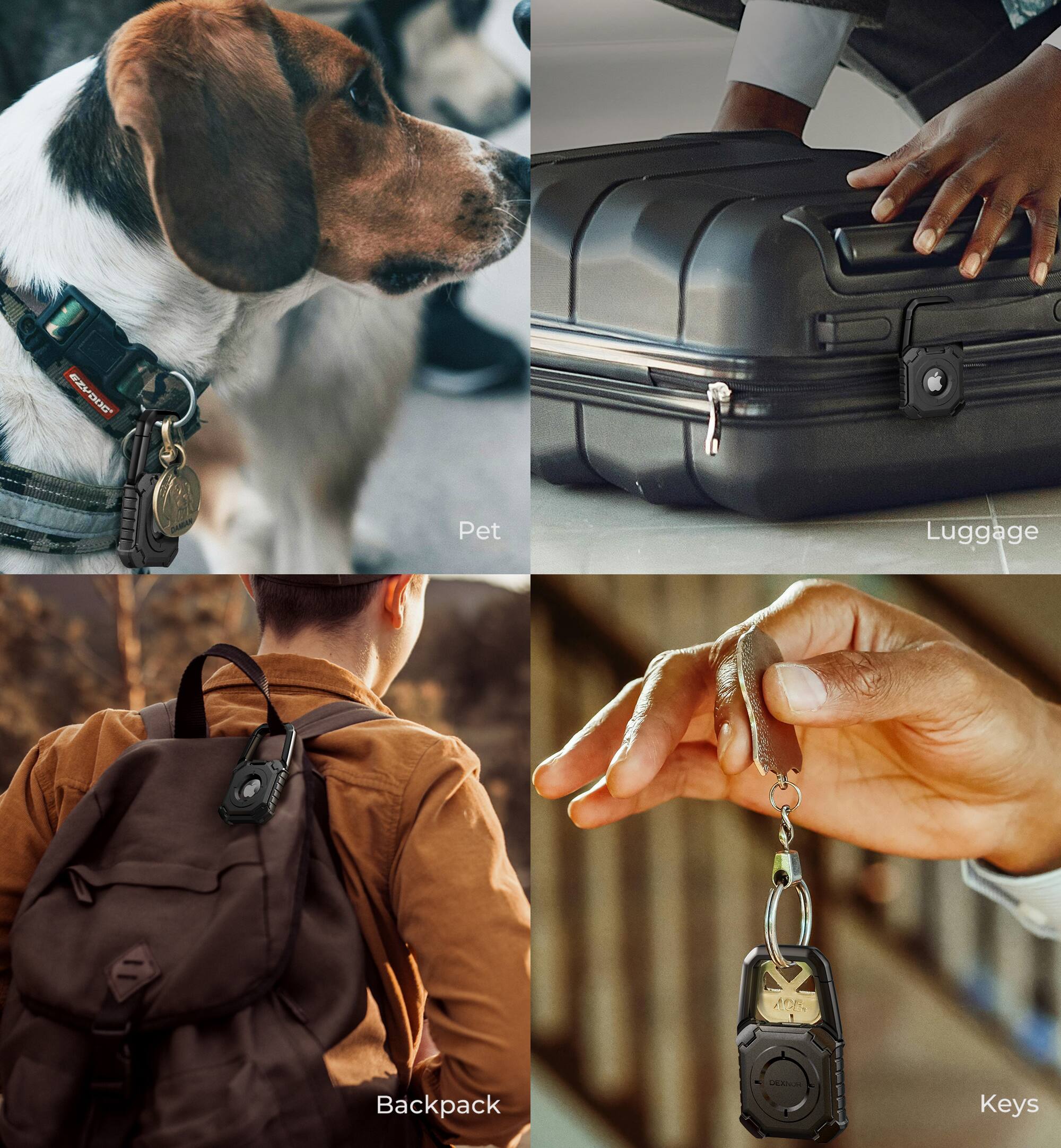 EZVD0G CAM Pet Luggage ACE. Backpack DEANN Keys

Pet  
Luggage  
Backpack  
Keys