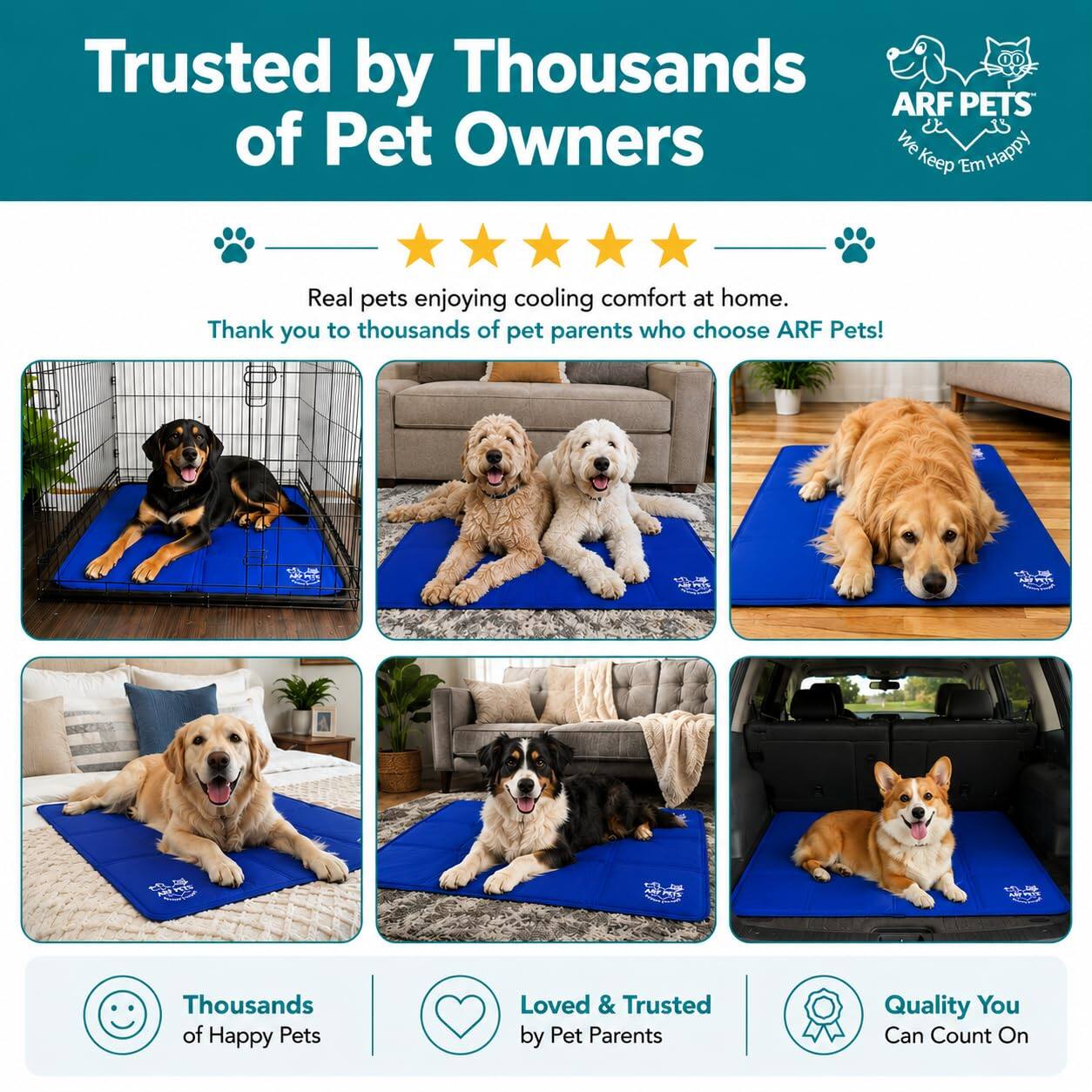 Trusted by Thousands of Pet Owners

Real pets enjoying cooling comfort at home. Thank you to thousands of pet parents who choose ARF Pets!

Thousands of Happy Pets
Loved & Trusted by Pet Parents
Quality You Can Count On