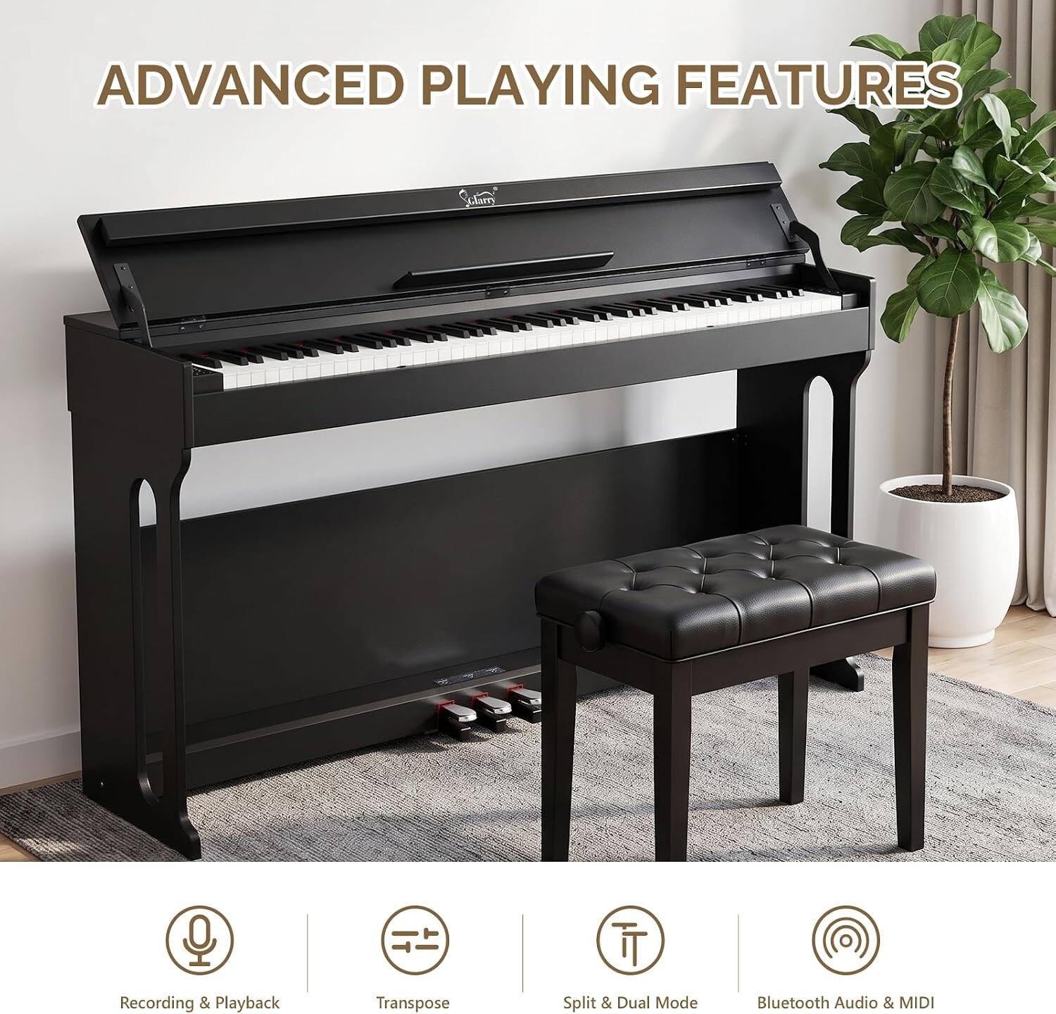 ADVANCED PLAYING FEATURES

Recording & Playback
Transpose
Split & Dual Mode
Bluetooth Audio & MIDI