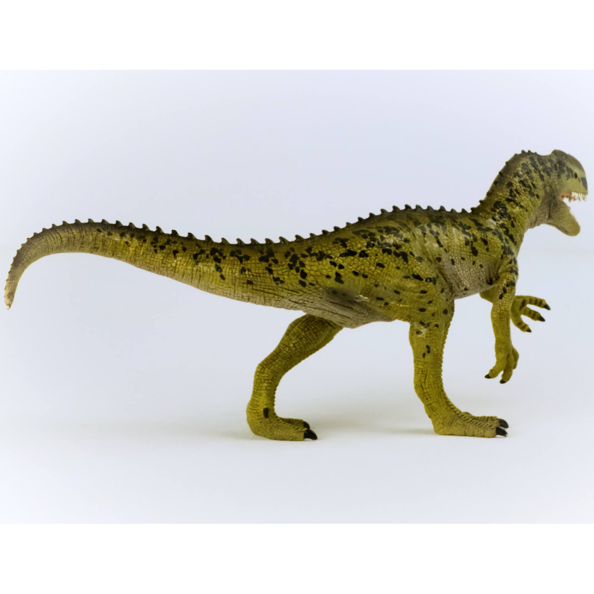 Angle. Schleich - Dinosaurs: Monolophosaurus.