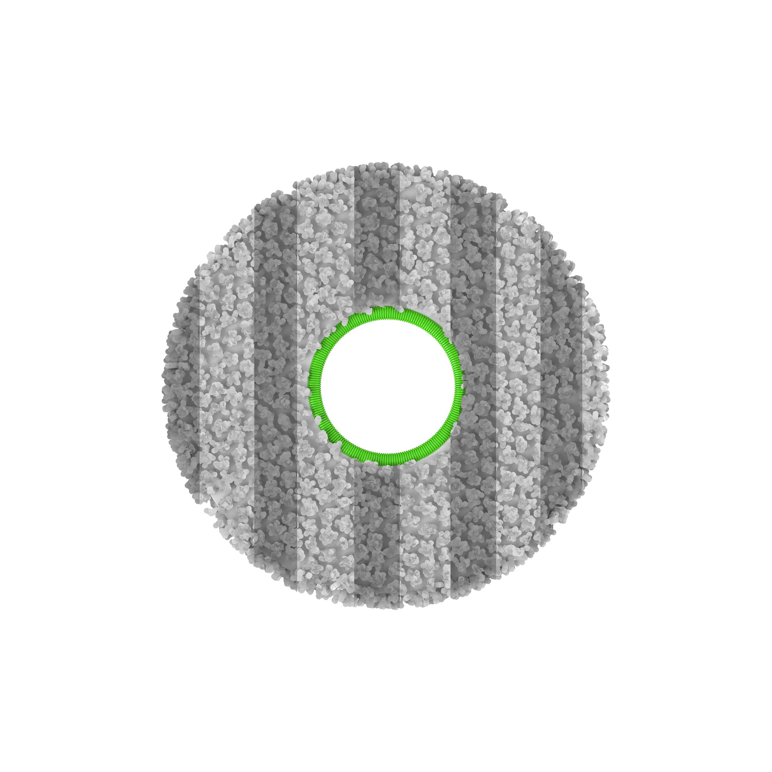 Angle. bObsweep - Microfiber Mop Pads for Maxim.