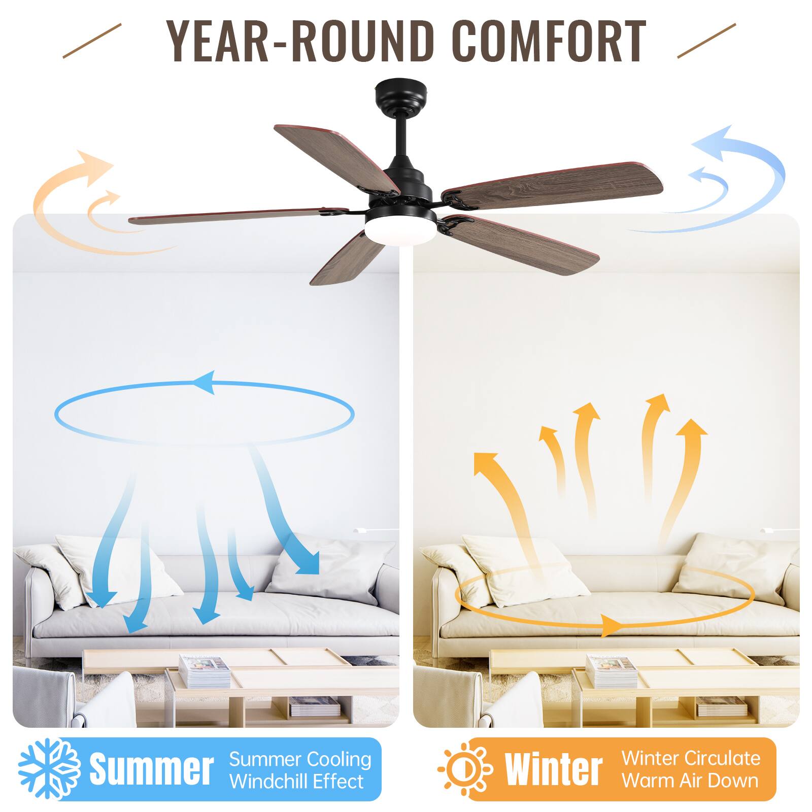 YEAR-ROUND COMFORT

Summer  
Summer Cooling  
Windchill Effect

Winter  
Winter Circulate  
Warm Air Down