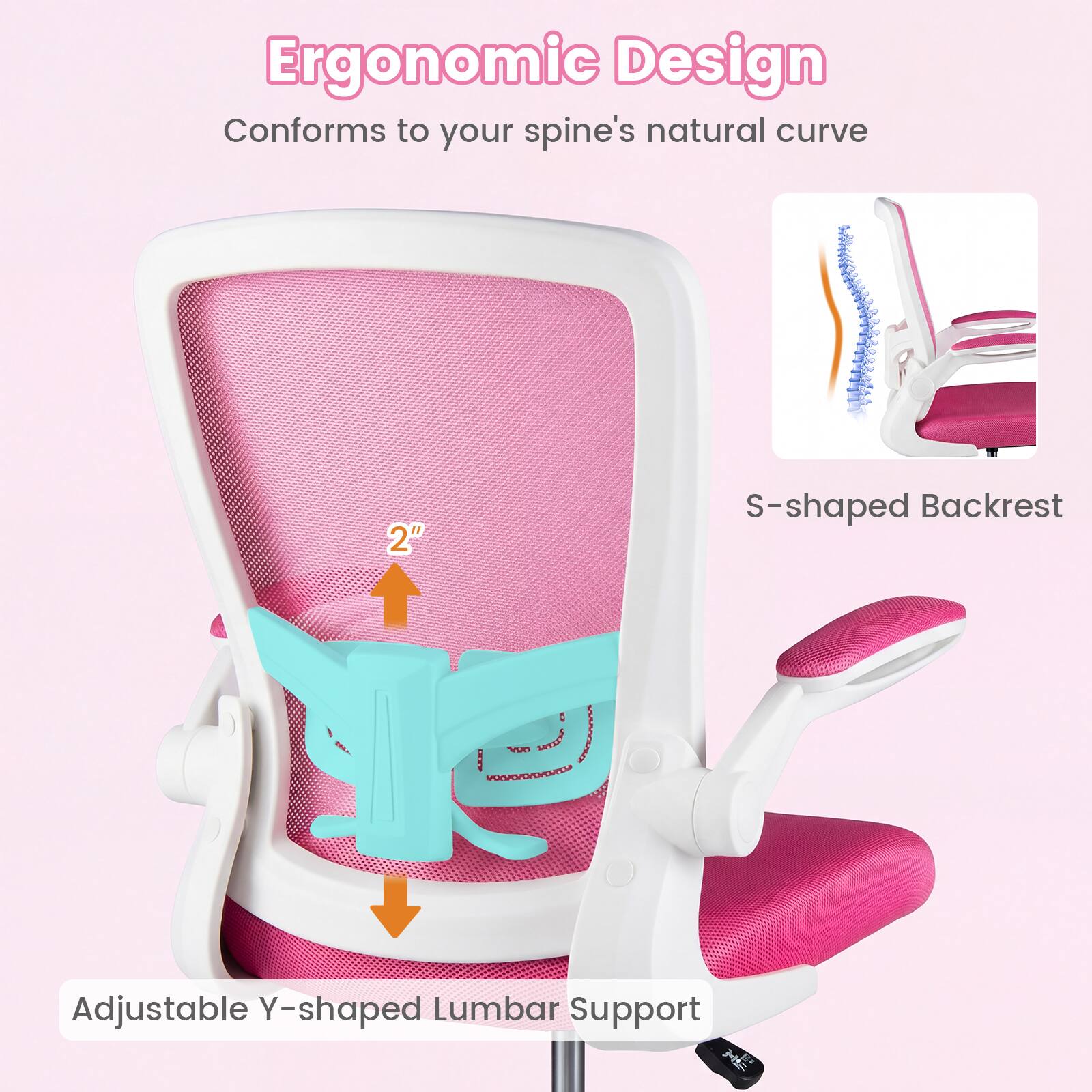 Ergonomic Design  
Conforms to your spine's natural curve  

2" S-shaped Backrest  
Adjustable Y-shaped Lumbar Support
