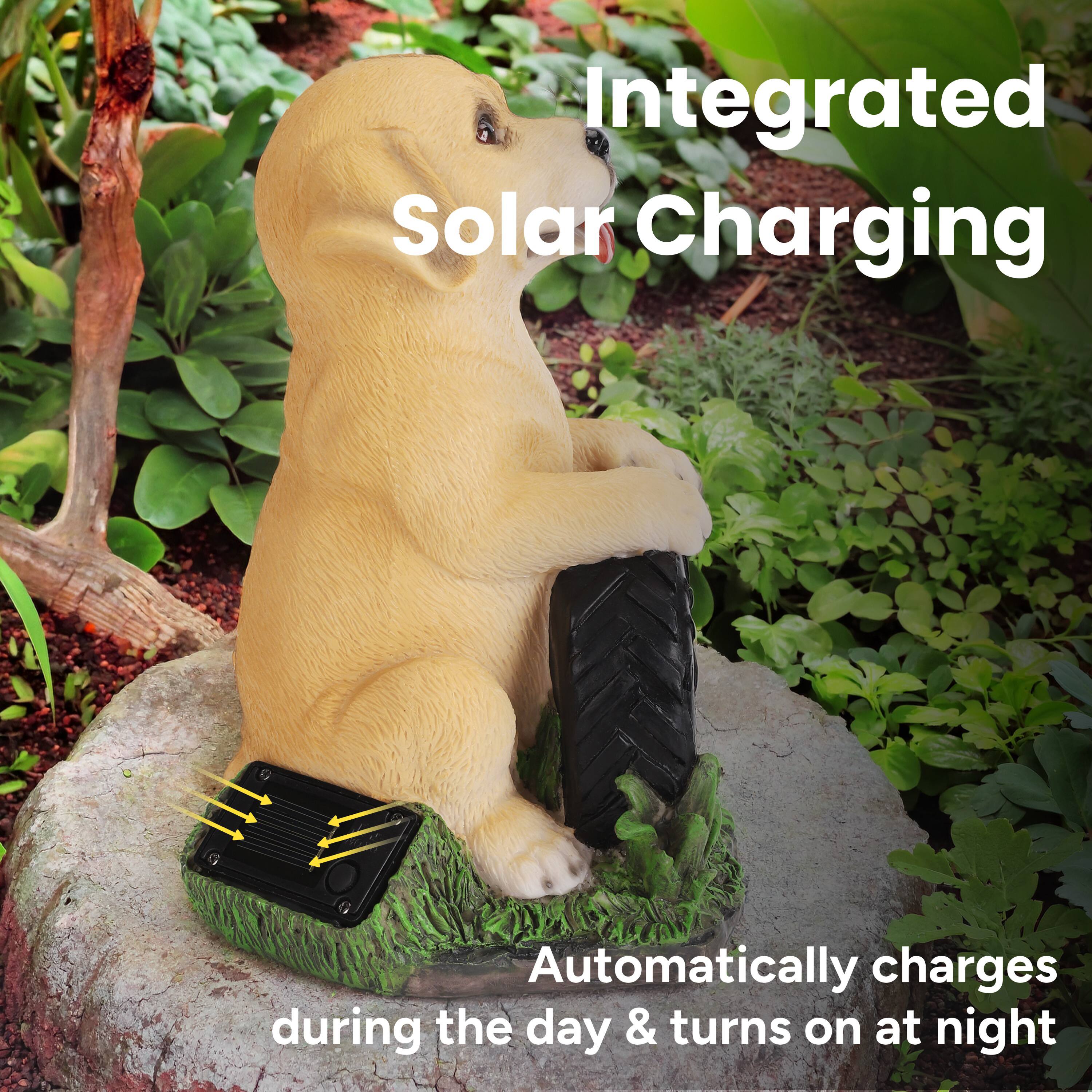 Integrated Solar Charging  
Automatically charges during the day & turns on at night