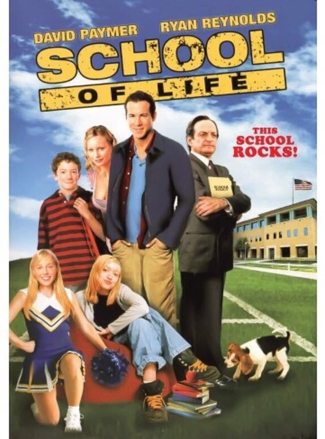 School of Life  - DVD