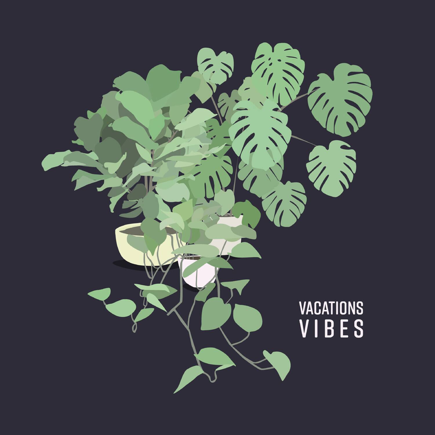 Vacations - Vibes   - COMPACT DISCS [CD]