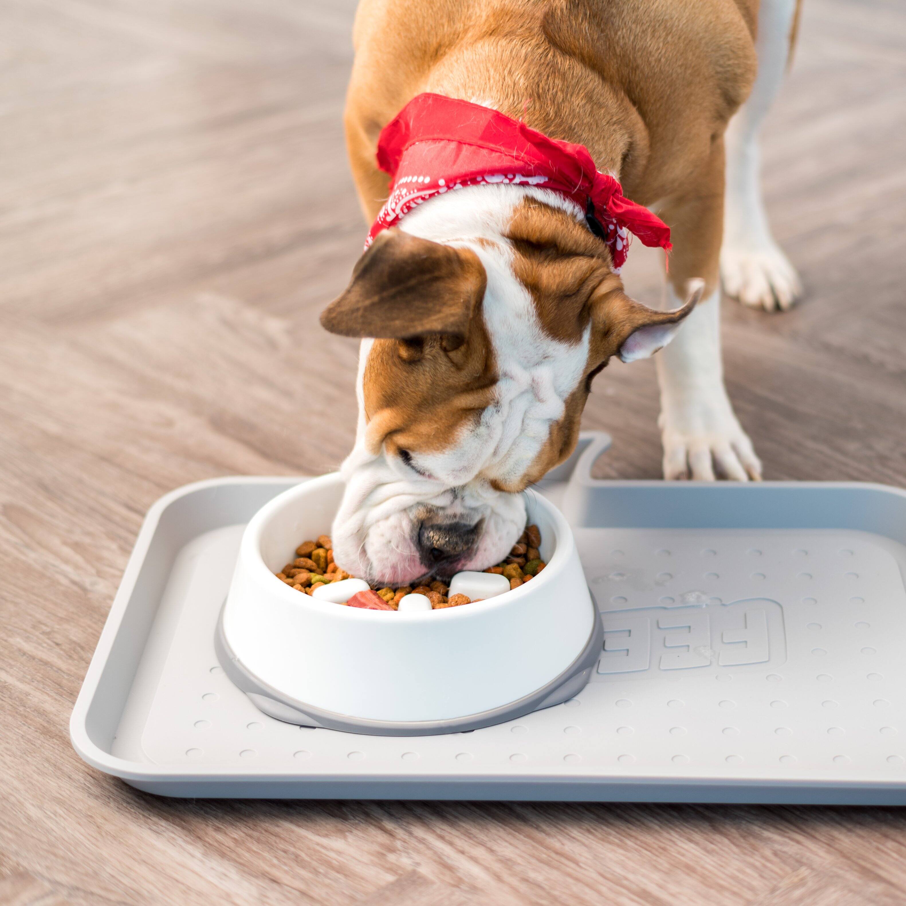 Alt View 2. IRIS USA - IRIS USA 2Cup/4Cup Slow Feeder Dog Bowl for Pets - White/Gray.