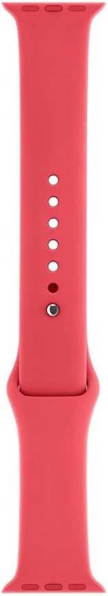 Front. Apple - Apple Watch Sport Band (38mm) - Red Raspberry - Regular - Gray.