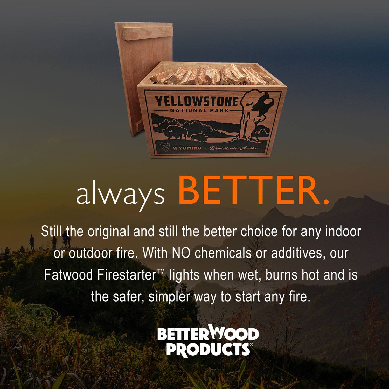 Alt View 1. Better Wood Products - Better Wood Products Protect the Parks Fatwood Firestarter Crate, Yellowstone - Brown.