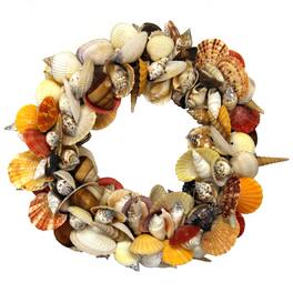 Contrast Inc. - Colorful Natural Mixed Seashell Cluster Accent Wreath 12.5 Inch Diameter - Multicolored