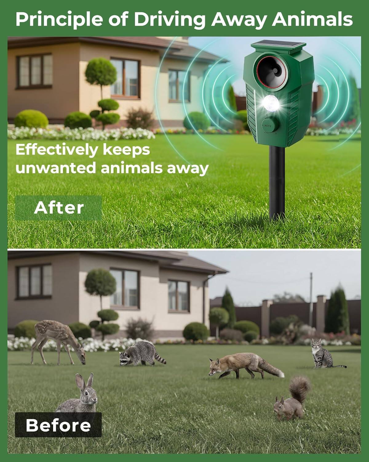 Principle of Driving Away Animals

Effectively keeps unwanted animals away

After

Before