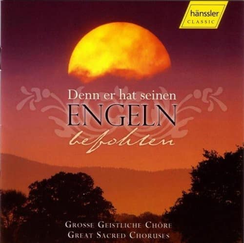 Various Artists - Denn Er Hat Seinen Engeln Befohlen / Various   - COMPACT DISCS [CD] price history on PriceWatchPro