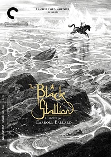 The Black Stallion (Criterion Collection)  - DVD