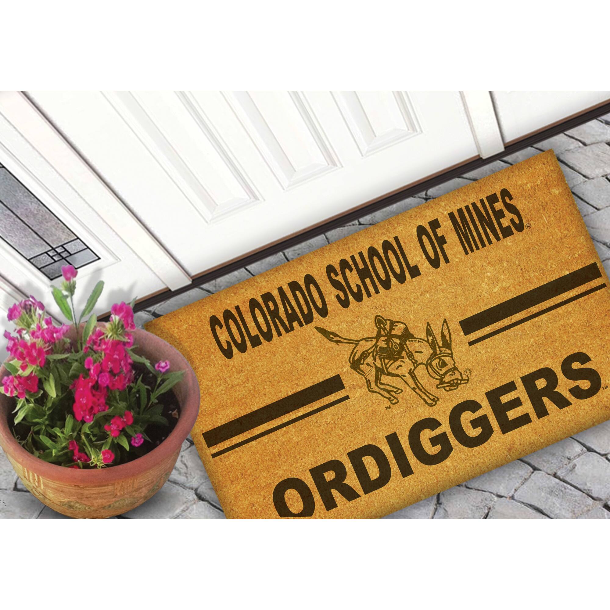 COLORADO SCHOOL OF MINES  
ORDIGGERS