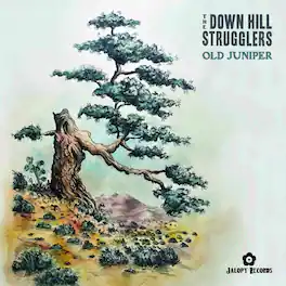 The Down Hill Strugglers - Old Juniper - VINYL LP