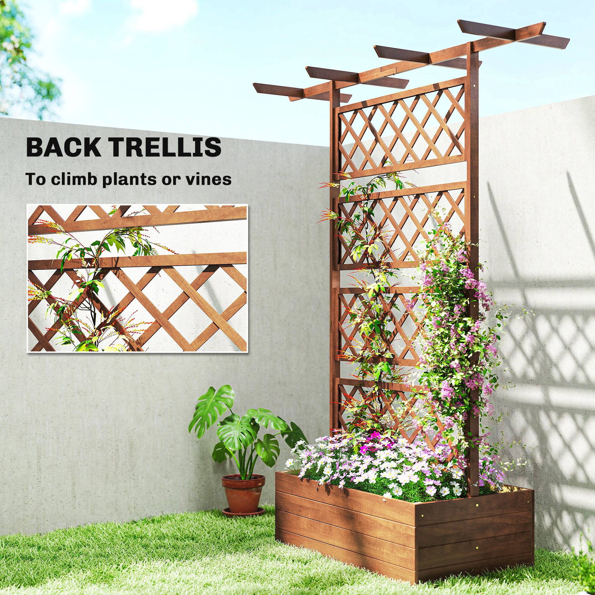 BACK TRELLIS  
To climb plants or vines