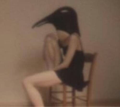 Penguin Cafe Orchestra - Penguin Cafe Orchestra   - COMPACT DISCS [CD] price history on PriceWatchPro