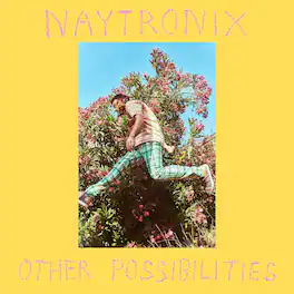 Naytronix - Other Possibilities - CASSETTES