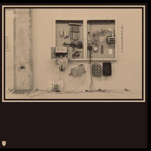 David Van Tieghem - Fits & Starts   - VINYL LP price history on PriceWatchPro