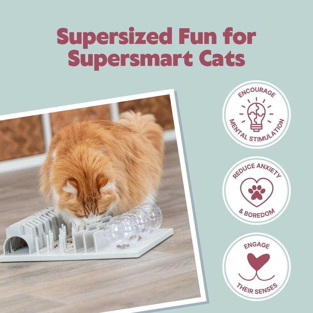Supersized Fun for Supersmart Cats

- Encourage Mental Stimulation
- Reduce Anxiety & Boredom
- Engage Their Senses