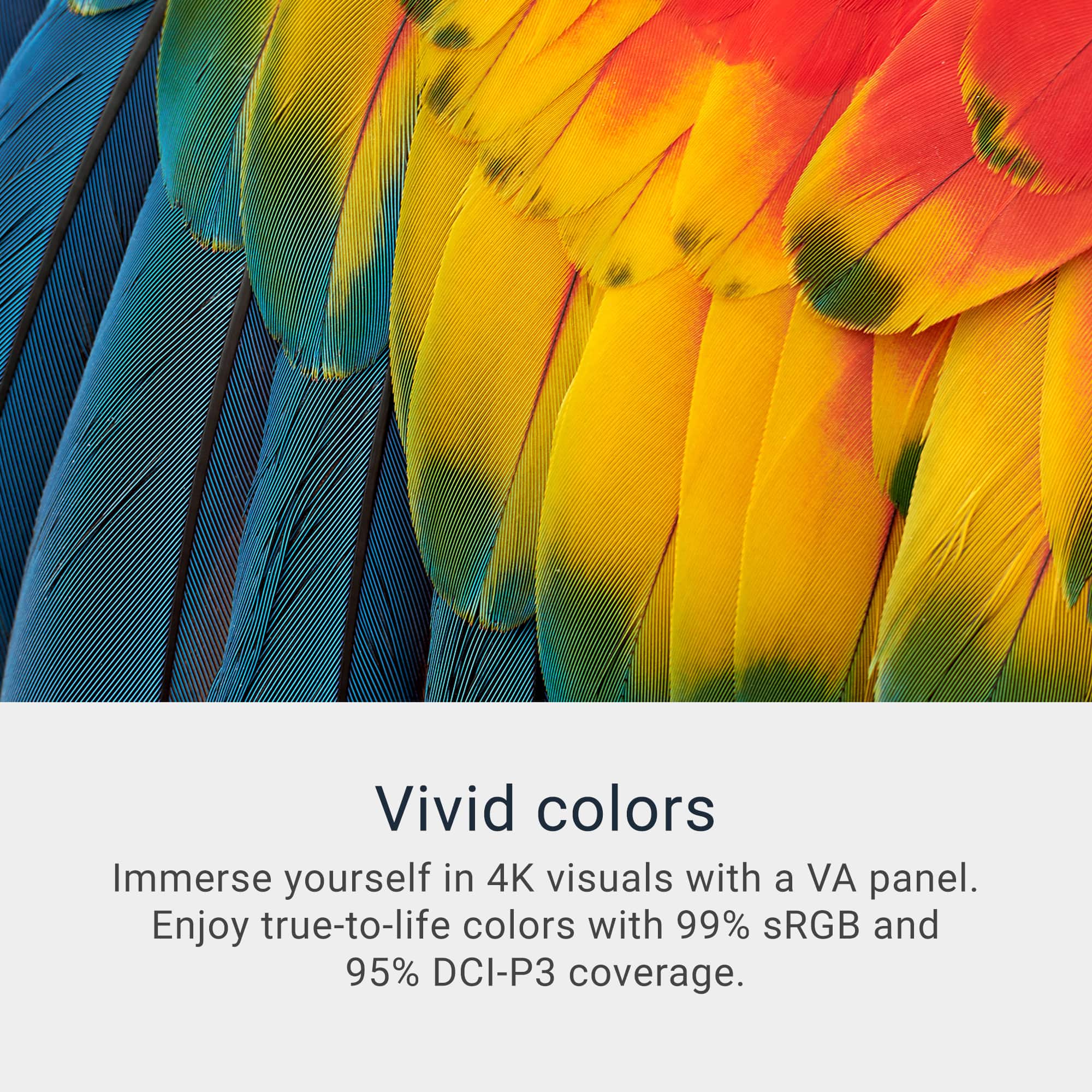 Vivid Colors: Immerse yourself in 4K visuals with a VA panel. Enjoy true-to-life colors with 99% SRGB and 95% DCI-P3 coverage.