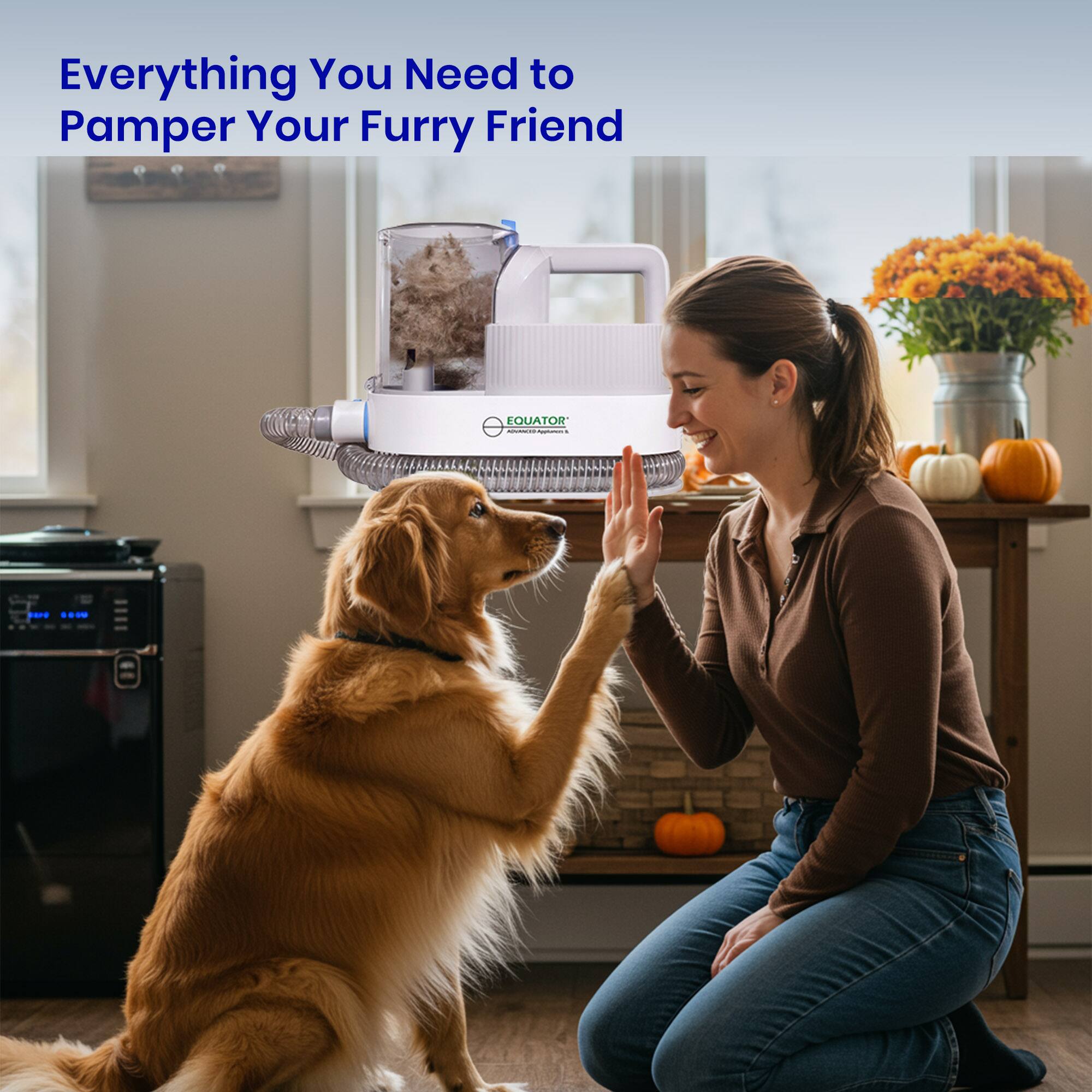 Everything You Need to Pamper Your Furry Friend

EQUATOR