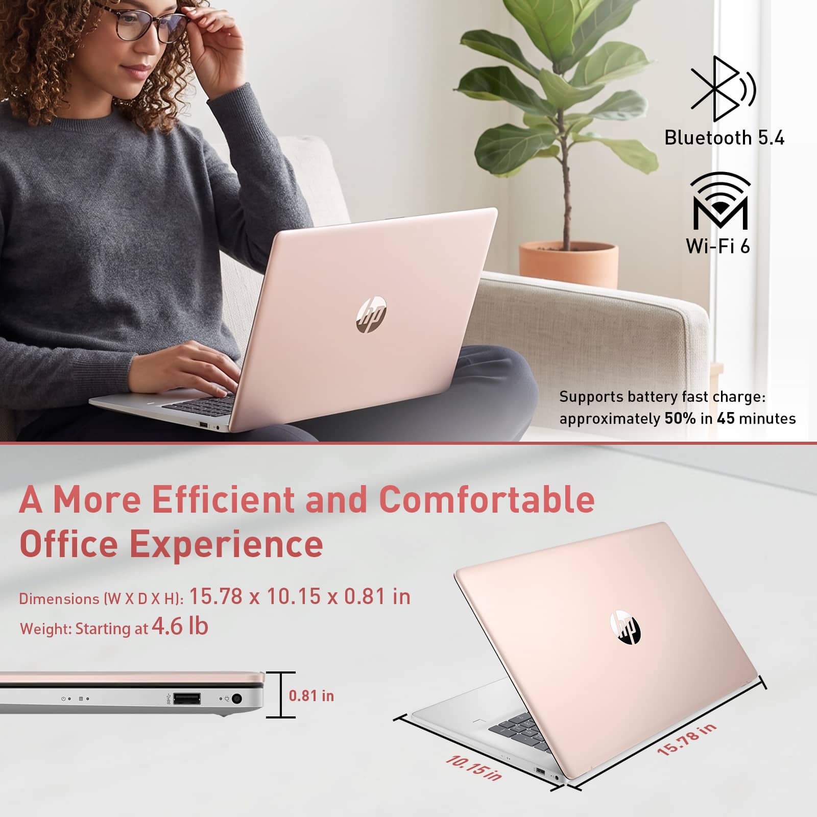 HP Upgraded 17.3