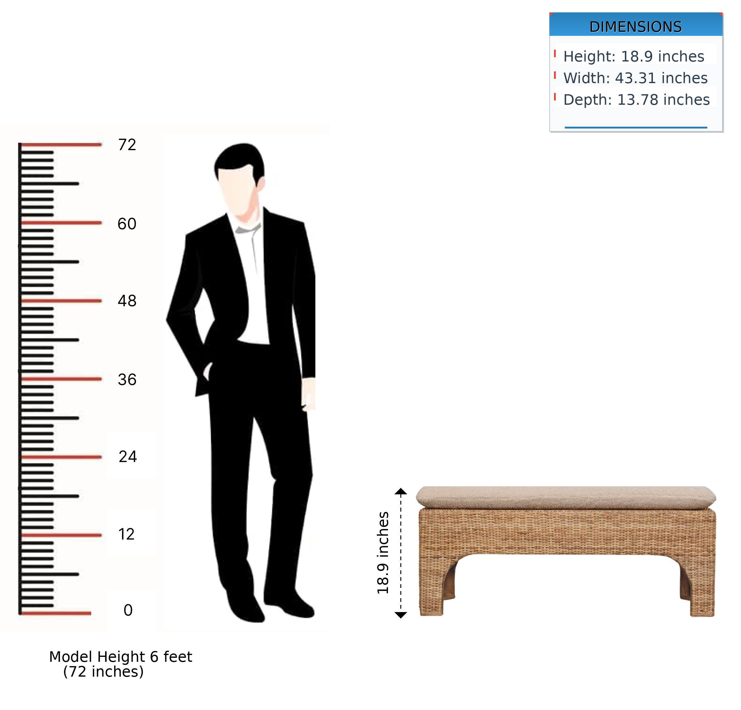 DIMENSIONS  
- Height: 18.9 inches  
- Width: 43.31 inches  
- Depth: 13.78 inches  

Model Height: 6 feet (72 inches)
