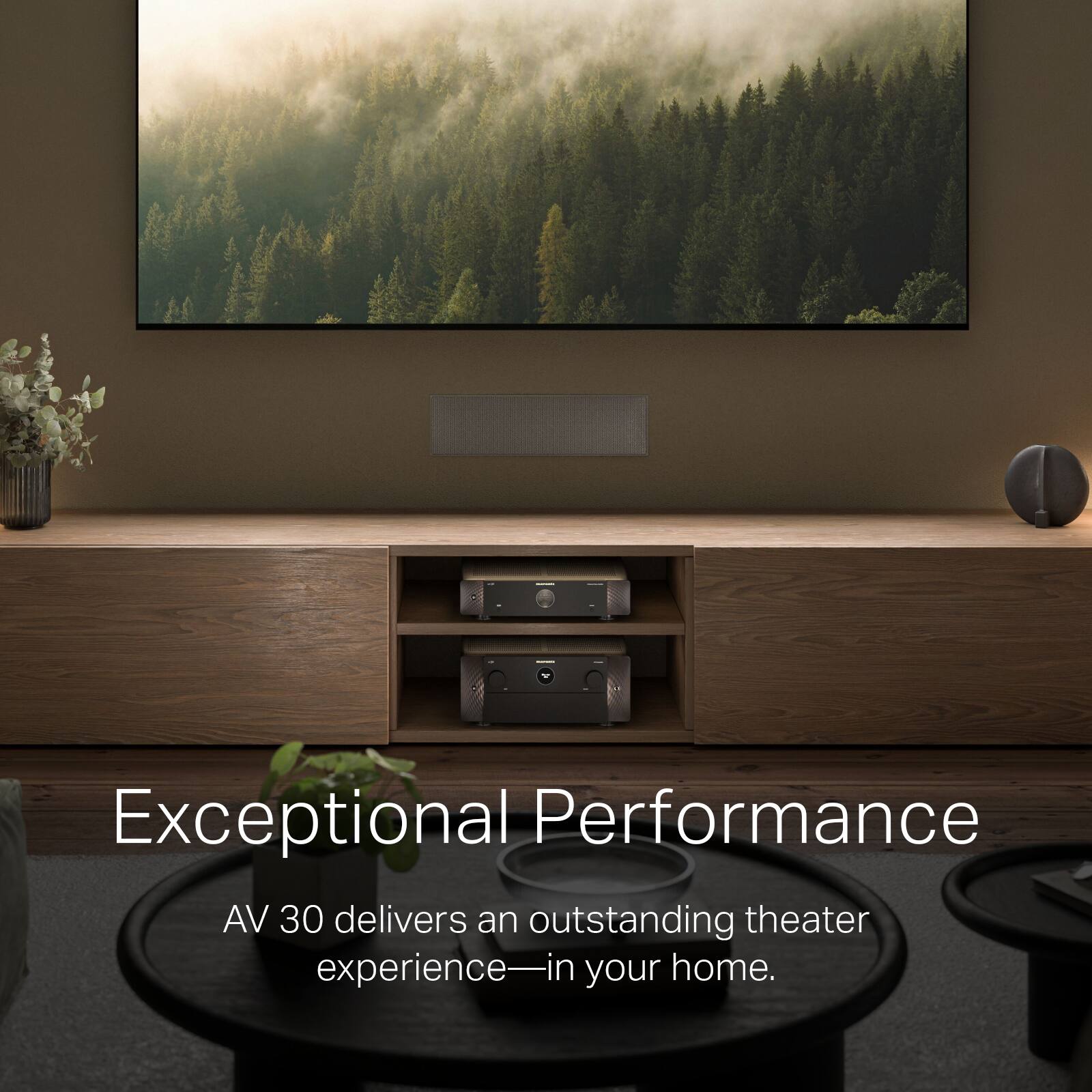 Exceptional Performance  
AV 30 delivers an outstanding theater experience—in your home.