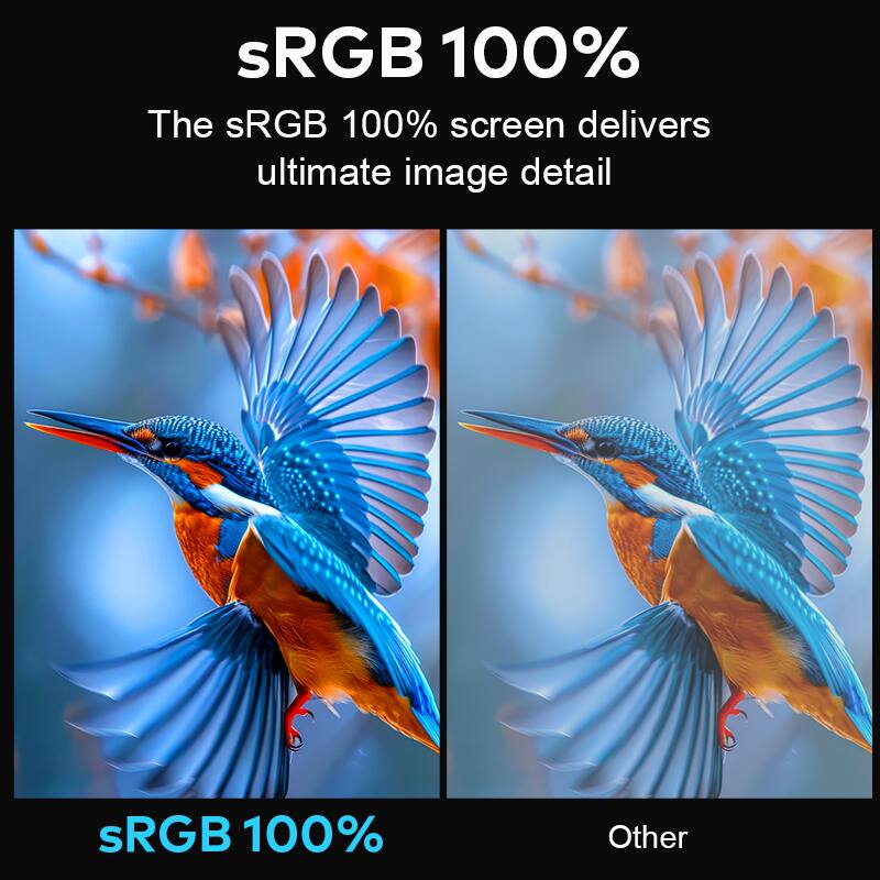 sRGB 100%  
The sRGB 100% screen delivers ultimate image detail  

sRGB 100%  
Other