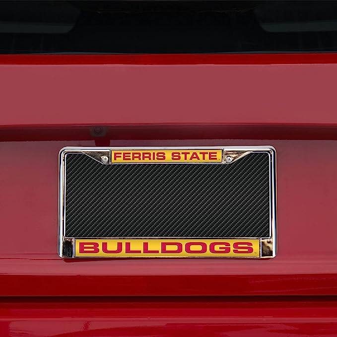 FERRIS STATE  
BULLDOGS