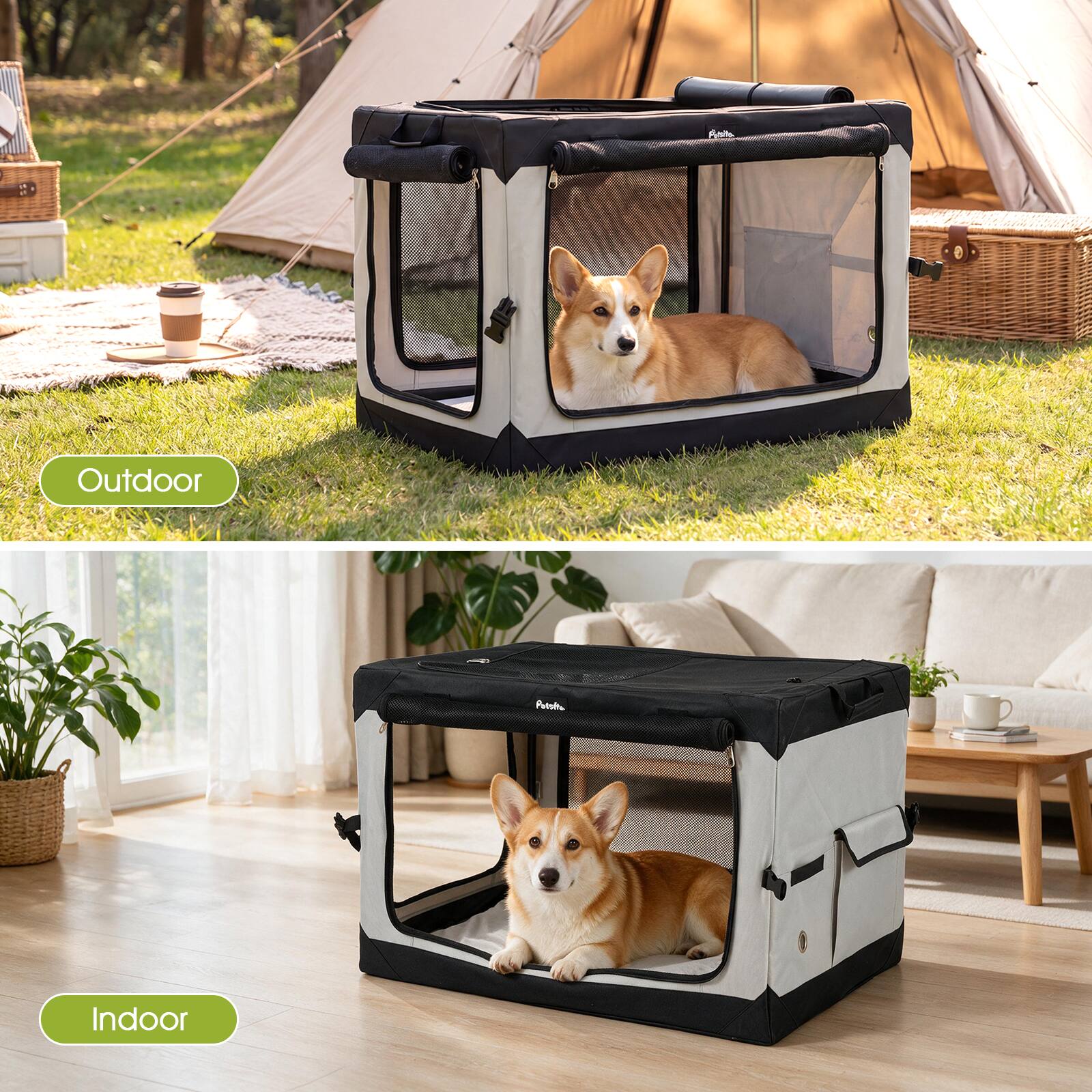 Anite

Outdoor

Points

Indoor