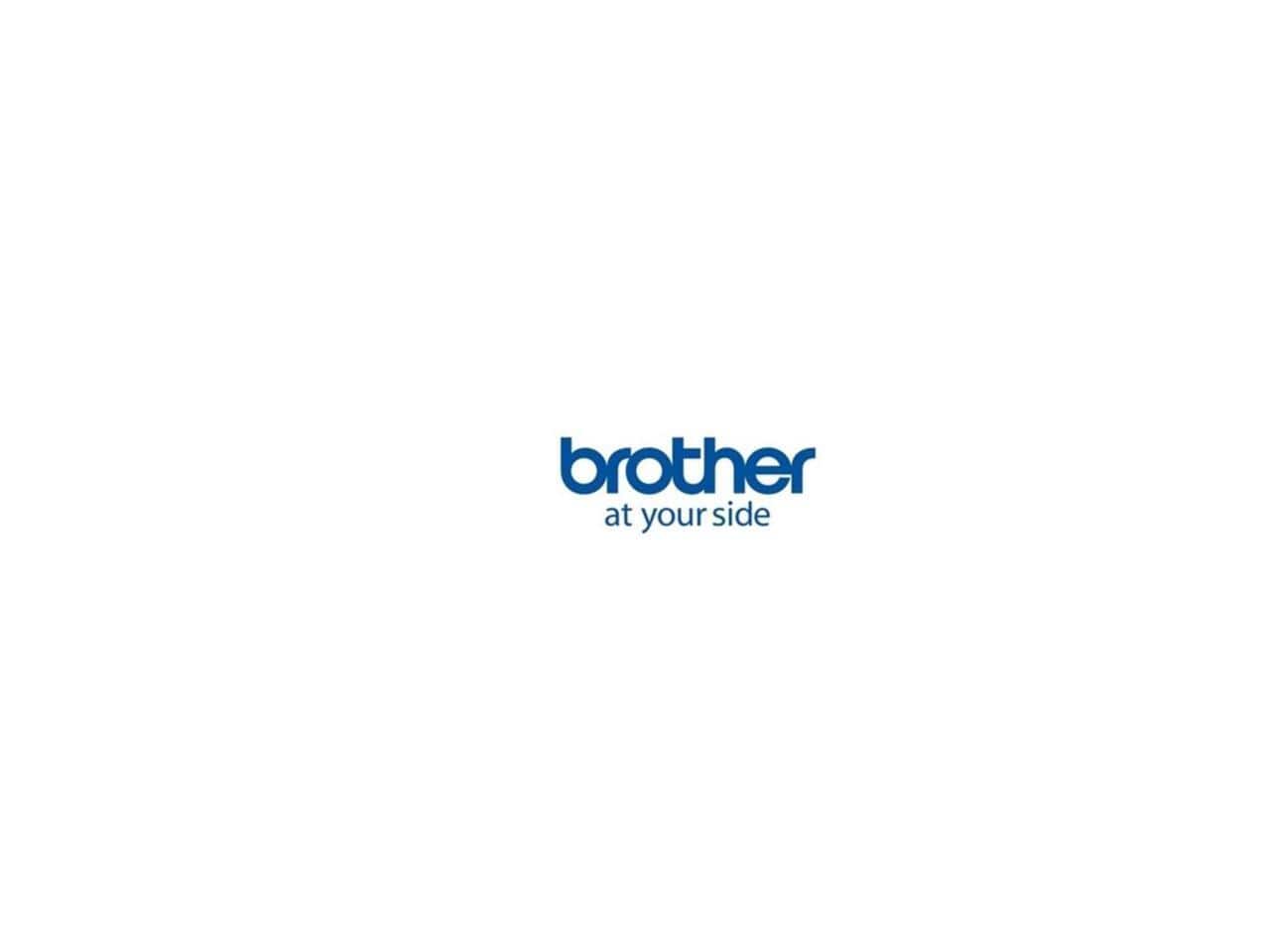Brother - USB/USB-C Data Transfer Cable (LBX106001)