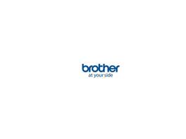 Brother - USB/USB-C Data Transfer Cable (LBX106001)