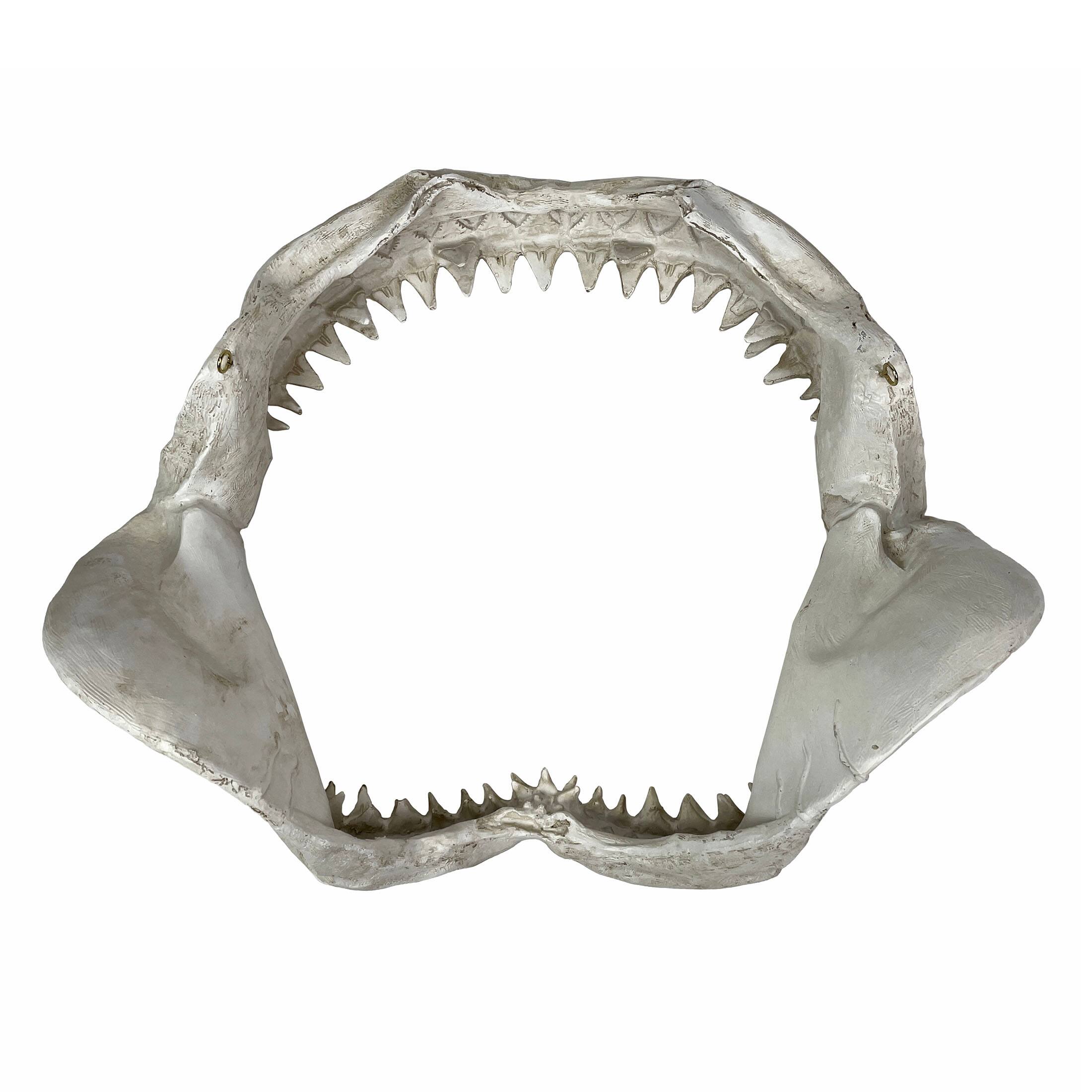 Alt View 8. Chesapeake Bay - Replica Shark Jaw Wall Sculpture Resin Coastal Nautical Decor 16" Off-White Art - Off-white.