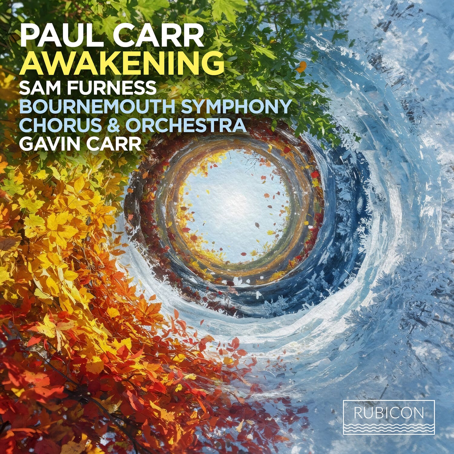 Bournemouth Symphony Orchestra - Paul Carr: Awakening   - COMPACT DISCS [CD] price history on PriceWatchPro
