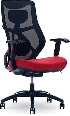 Beautyrest - Duo-EX Ergonomic Mesh Swivel Computer Chair (60051 - Red