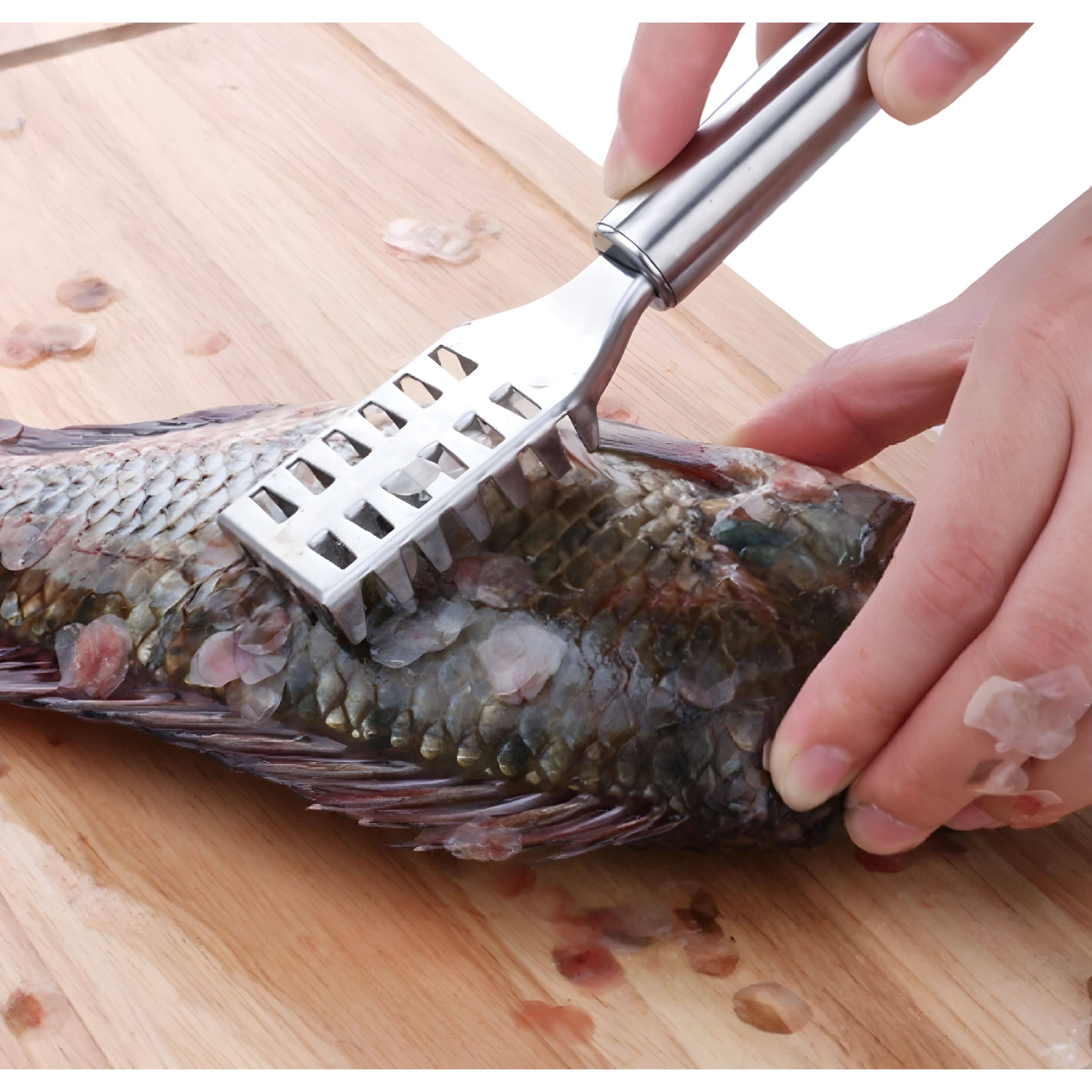 Angle. Kitcheniva - Stainless Steel Fish Scaler Scraper - Silver.